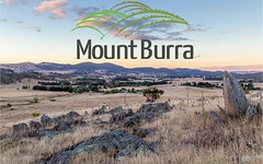 Lot 208 Mount Burra, Burra NSW