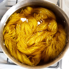 Dyed with daffodils