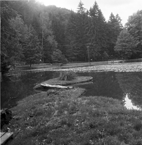 Pond of vojtechov