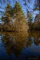DB reflets • <a style="font-size:0.8em;" href="http://www.flickr.com/photos/161151931@N05/51117536293/" target="_blank">View on Flickr</a>