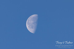 April 3, 2021 - Gorgeous daytime moon. (Tony's TakeS)