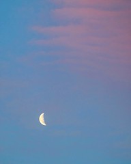 April 5, 2021 - Waning gibbous moon. (Bill Hutchinson)