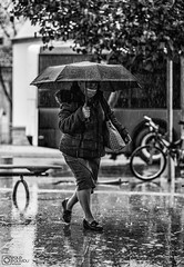 Rainy day in Nicosia - April 2021 (18)
