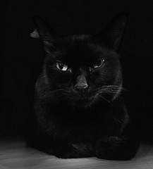 Hallo Kitty - black version