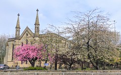 Spring blossom outside St Paul's Church in Preston