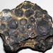 Spherulitic magnetite (Rudnogorsk Deposit, Angara-Ilim Iron Ore District, Irkutsk Region, Siberia, Russia) 8