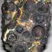 Spherulitic magnetite (Rudnogorsk Deposit, Angara-Ilim Iron Ore District, Irkutsk Region, Siberia, Russia) 10