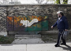The famous White Squirrel, Bell box mural. Trinity Bellwoods, Toronto.