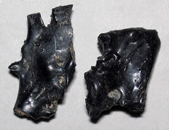Irgizites (Pleistocene, ~750 ka to 1.07 Ma; near the Zhamanshin Impact Structure, Kazakhstan) 2