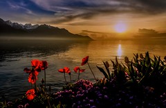 A spring Evening on the Shores of Lake Geneva