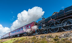 Highlands Schottland Mallaig Harry Potter Train VIII