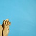 Bactrian Camel – Shuki Kato