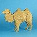 Bactrian Camel – Shuki Kato