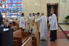 Newly ordained are invested with the deacon's stole and the dalmatic.