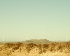 Windmills Maasvlakte