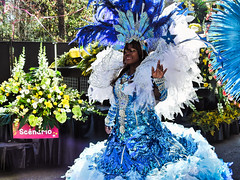 Blue queen on the parade<br/>© <a href="https://flickr.com/people/188717768@N07" target="_blank" rel="nofollow">188717768@N07</a> (<a href="https://flickr.com/photo.gne?id=51170079272" target="_blank" rel="nofollow">Flickr</a>)