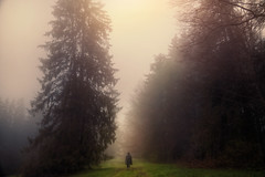 Seltsam, im Nebel zu wandern