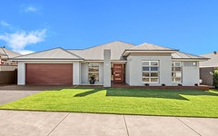 39 Dragonfly Drive, Chisholm NSW