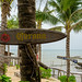 Corona Beer Wooden Signboard on a Palm Tree at Rory's Beach Club in Phu Quoc, Vietnam