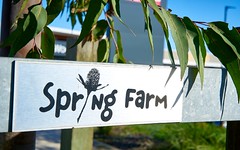 Lot 8011, Austen Boulevard, Spring Farm NSW