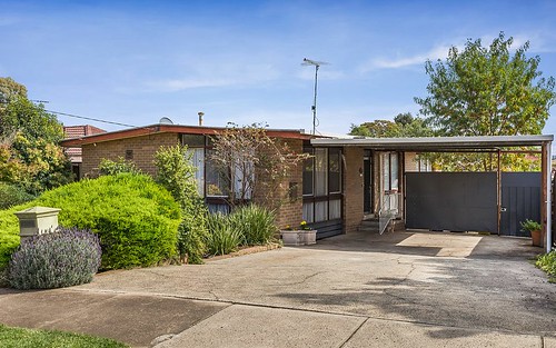 5 Towe St, Avondale Heights VIC 3034