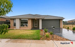 36 Brooksby Circuit, Harkness VIC