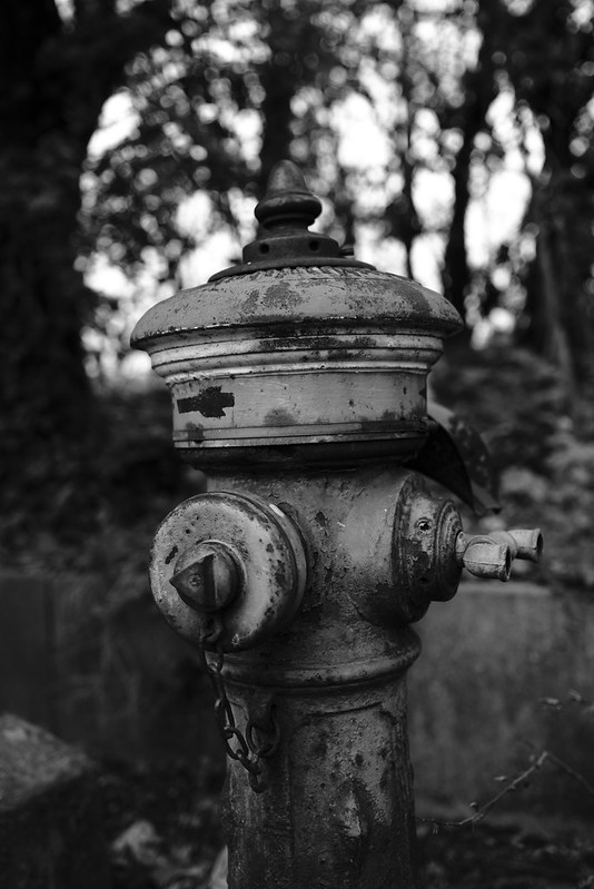 fire hydrant in black and white<br/>© <a href="https://flickr.com/people/187451749@N06" target="_blank" rel="nofollow">187451749@N06</a> (<a href="https://flickr.com/photo.gne?id=51193062057" target="_blank" rel="nofollow">Flickr</a>)