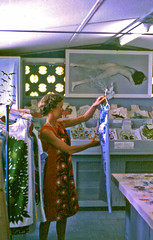 091 Ruth-Ann looking at print dress in Bagshaws 1966