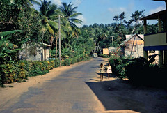 103 Dominica 1966