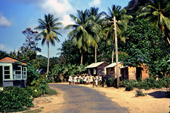 104 Dominica 1966