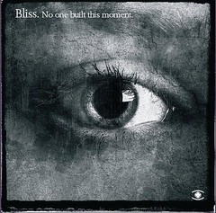 Bliss-No One Built This Moment cover