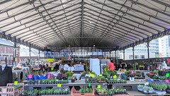 The outside market at Preston
