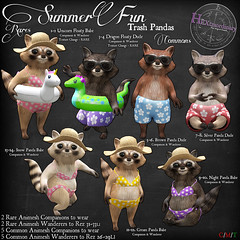 HEXtraordinary - Summer Fun Trash Pandas - The Arcade