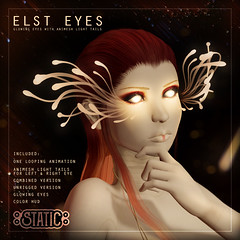 Elst Eyes