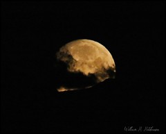 May 25, 2021 - Full moon rising.  (Bill Hutchinson)