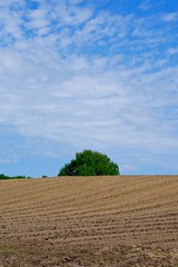 Landscape | June 2, 2021 | Ruhwinkel - Plön District - Schleswig-Holstein - Germany