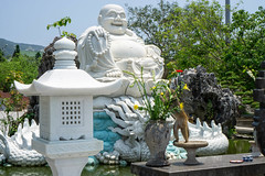 Macaque Monkey picking and eating Yellow Flowers in front of a Laughing Buddha Statue at Linh Ung Pagoda in Da Nang, Vietnam
