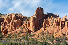 Dixie National Forest - Red Canyon