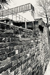 157/365 Gritty B&W study of a Brunswick laneway showing an old wall with broken glass cemented on top to prevent anyone climbing over.
