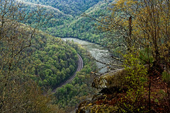 This Is Where We Seek Nature (New River Gorge National Park & Preserve)