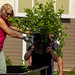 College of DuPage Horticulture Program, Beds-Plus Team Up on Rain Garden Project