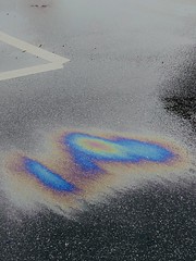 159/365 oil creates a rainbow slick on the wet road.