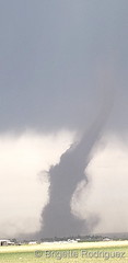 June 7, 2021 - A landspout tornado touches down east of Firestone. (Brigette Rodriguez)