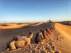 Morzega- Sahara desert, Morocco, 摩洺哥