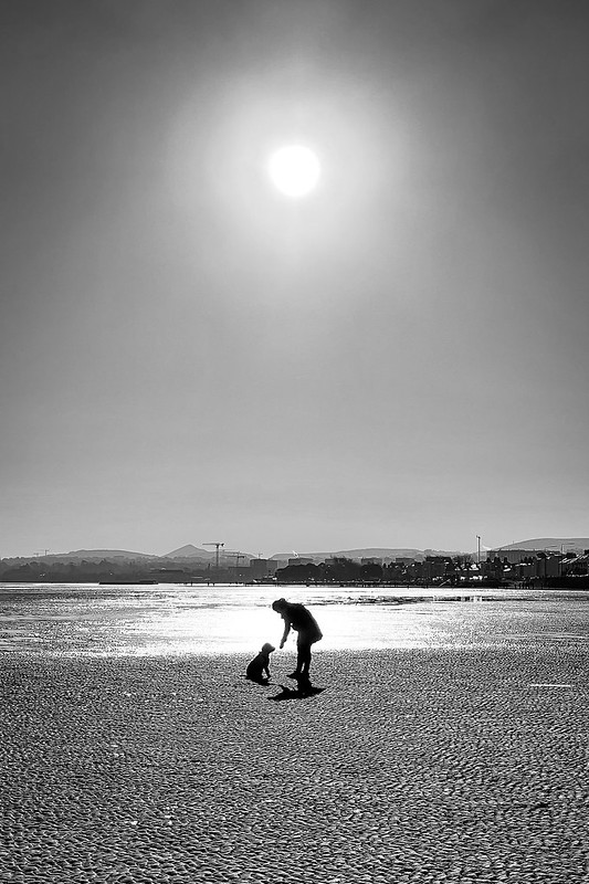Sandymount Beach, Dublin, Ireland - Black and white street photography<br/>© <a href="https://flickr.com/people/87690240@N03" target="_blank" rel="nofollow">87690240@N03</a> (<a href="https://flickr.com/photo.gne?id=51255213083" target="_blank" rel="nofollow">Flickr</a>)