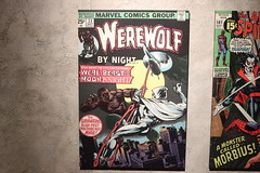 Warewolf by Night #33 Cover • <a style="font-size:0.8em;" href="http://www.flickr.com/photos/28558260@N04/51257201752/" target="_blank">View on Flickr</a>