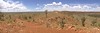 Kandimalal, Great Sandy Desert, Western Australia