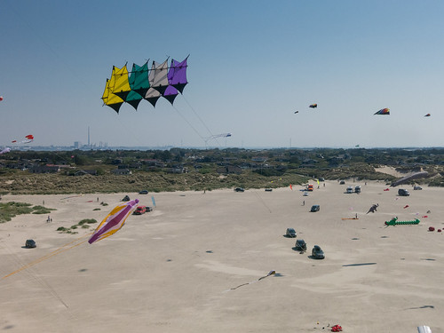Kites above the beach