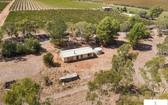 36 Old Road, Watervale SA
