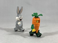 2021-173  - The Carrot and the Hare